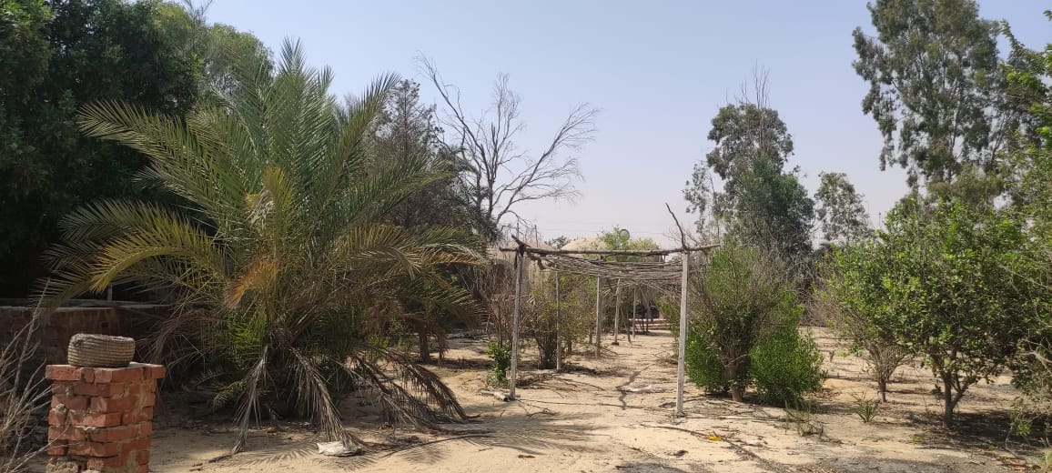 مصغّر 5